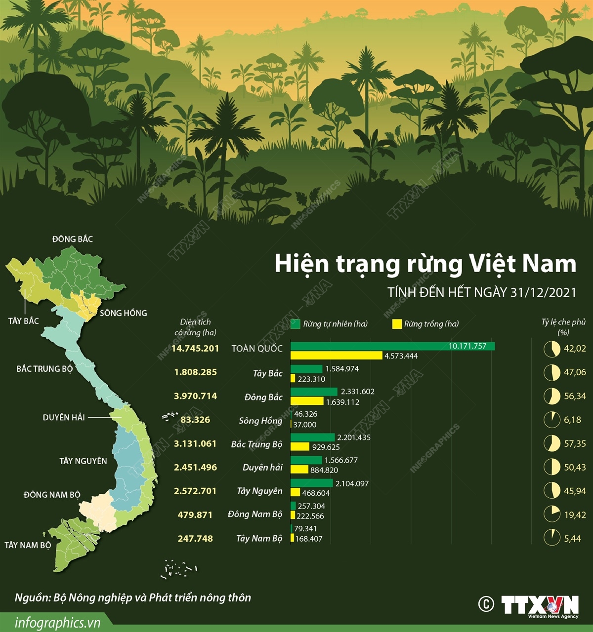 Diện tích rừng Việt Nam hiện nay: Bảo vệ và phát triển bền vững 